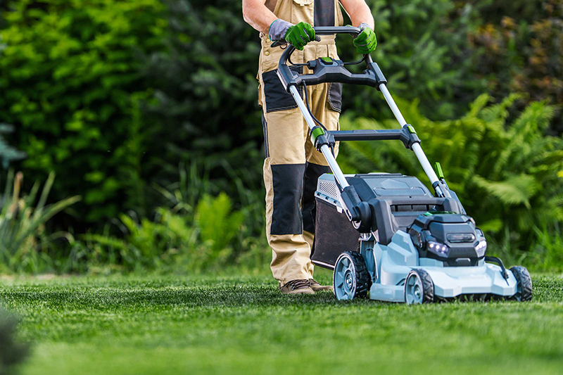 Yard Cleaning