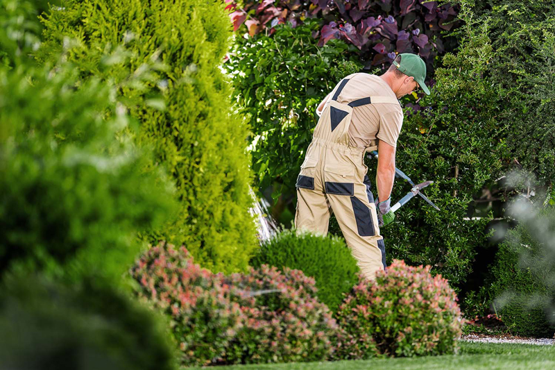 Landscaping