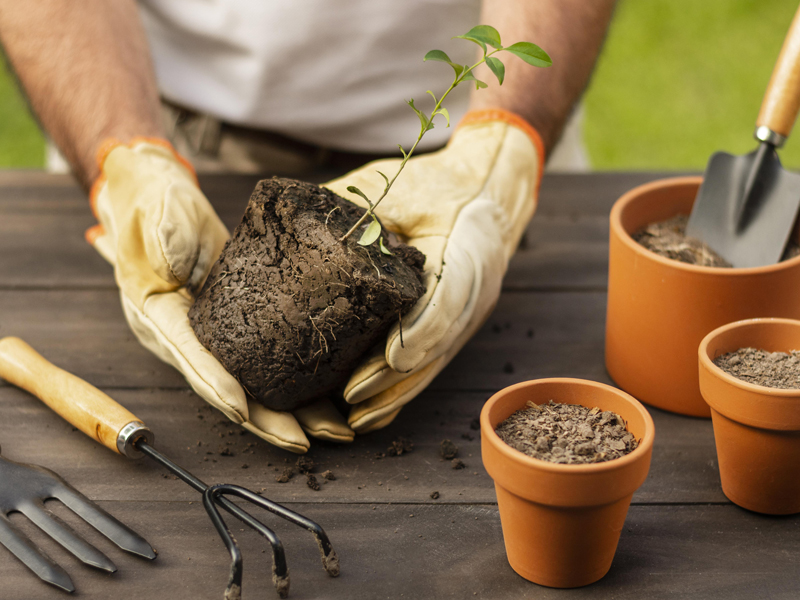Integrate clicks-and-mortar methodologies